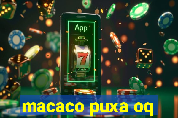 macaco puxa oq